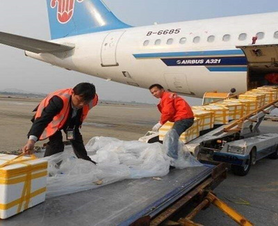 安徽航馳貨運代理 專業(yè)打包服務(wù)，為您的貨物安全保駕護航