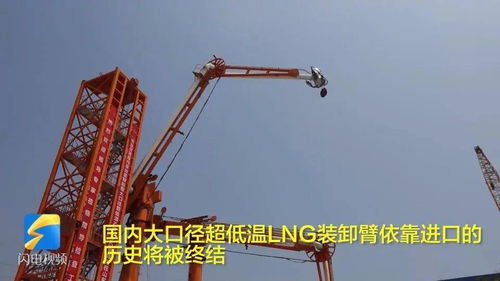 日照終結進口依賴 全國首臺自動化打包機實現國產化