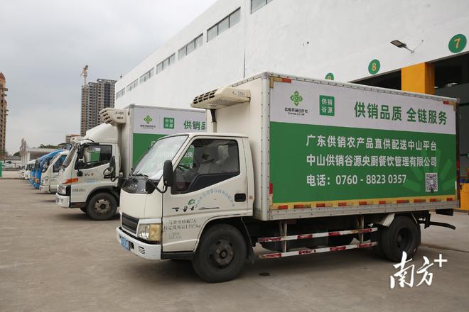 廣東供銷農產品直供配送中山服務中心開業，一站式打包服務助力農產品高效流通